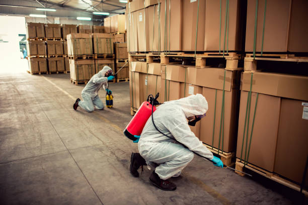Best Mosquito Control Services  in Bayou Gauche, LA