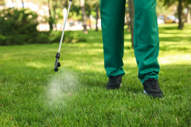 Best Pest Control Near Me  in Bayou Gauche, LA