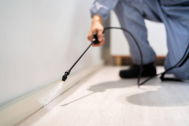 Pest Control Cost in Bayou Gauche, LA
