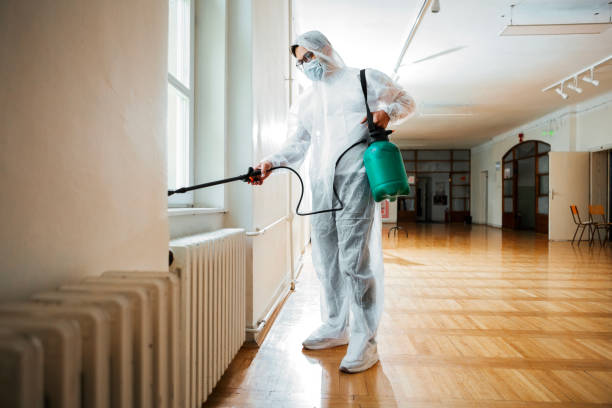 Best Flea Control Services  in Bayou Gauche, LA