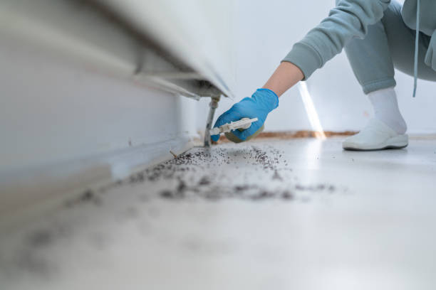 Best Pest Control for Restaurants  in Bayou Gauche, LA
