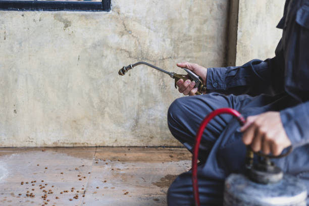 Best Local Pest Control Services  in Bayou Gauche, LA